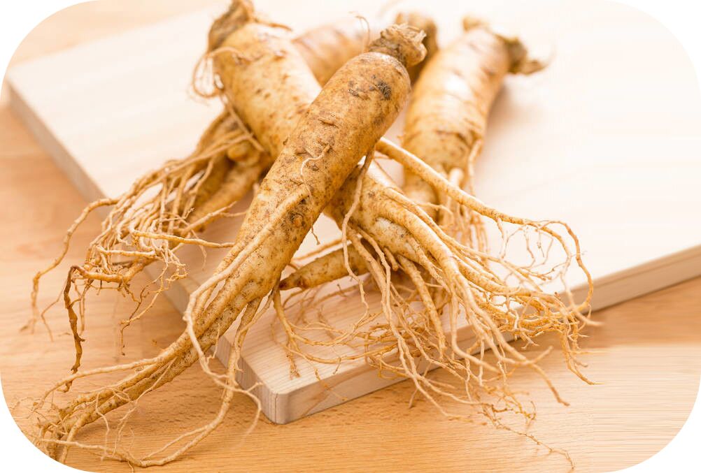 Ginseng Extract Ginseng Extract