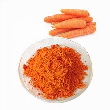 Carrot Extract Carrot Extract