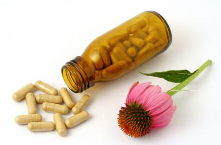 Echinacea Extract Echinacea Extract