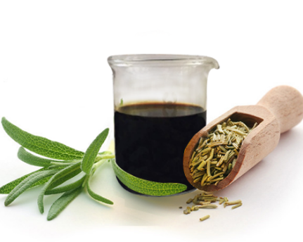 Rosemary Extract Rosemary Extract