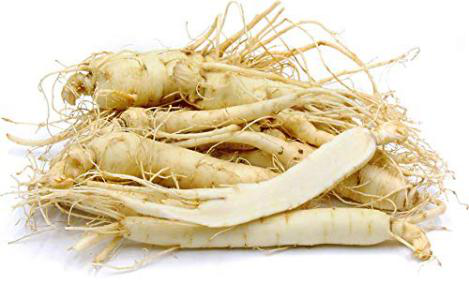 ginseng root ginseng root