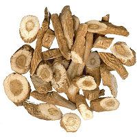 Isatis Root Isatis Root