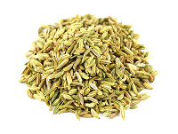 fennel fennel