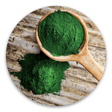 spirulina powder spirulina powder