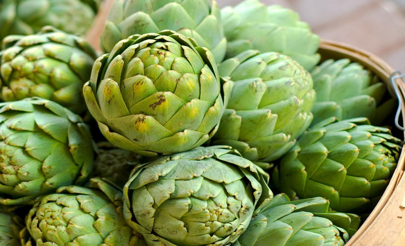 Artichoke Extract Artichoke Extract