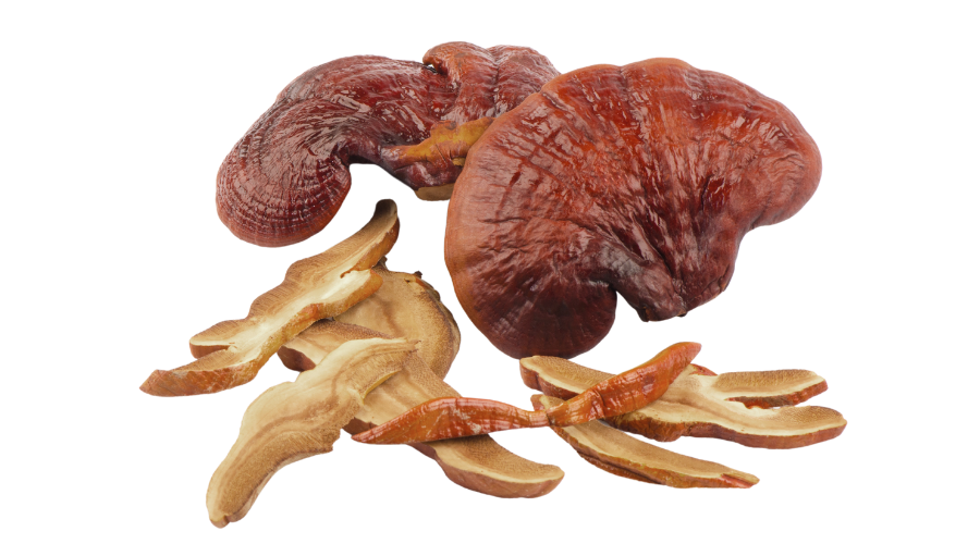 Organic Reishi Mushroom Organic Reishi Mushroom
