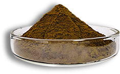 Echinacea Extract