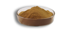 Yucca Extract