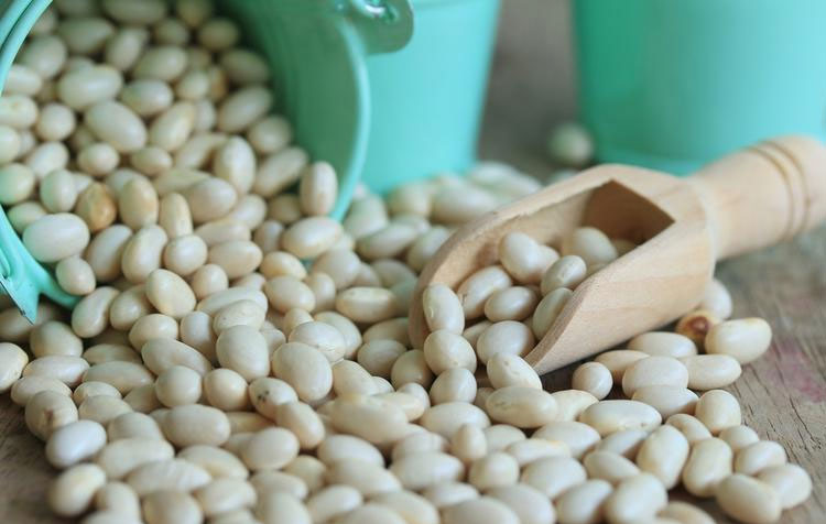 White kidney bean extract