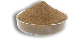 Cacumen Platycladi Extract