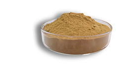 Astragalus Extract